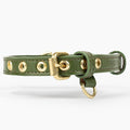Two Tails Pet Company Cactus Vegan Leather Dog Collar, Adjustable Pet Collar with Gold Hardware and D Rings for Leash and ID Tag for Dogs and Puppies, Easy to Clean & Eco Friendly, Green, Size Large