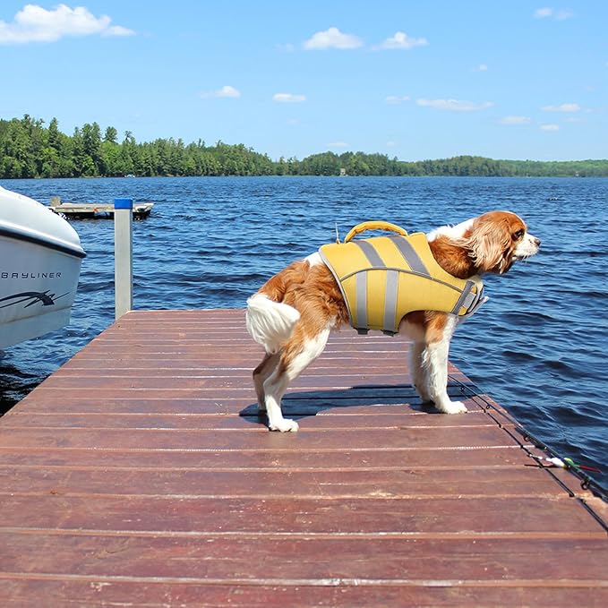 Kuer Dog Life Jacket with Reflective Stripes, Adjustable Visibility Dog Vest Ripstop Lifesaver Pet Life Preserver for Sizes XS-XL