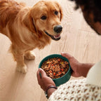 Jinx Salmon Wet Dog Food Topper, Mix with Dry Dog Food, Made with Real Salmon & Chicken, Bone Broth, No Fillers, Puppy, Adult, Senior, 9oz, 12 Pack