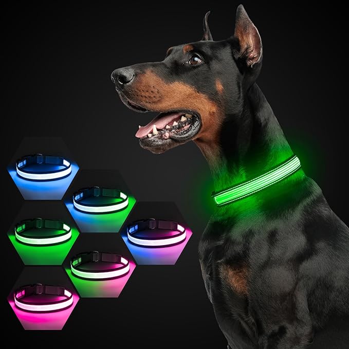 Multi-Color Light up Dog Collar, YFbrite USB Rechargeable LED Puppy Collar Super Bright Adjustable Glowing Dog Lights for Night Walking (Multi-Color, Small)