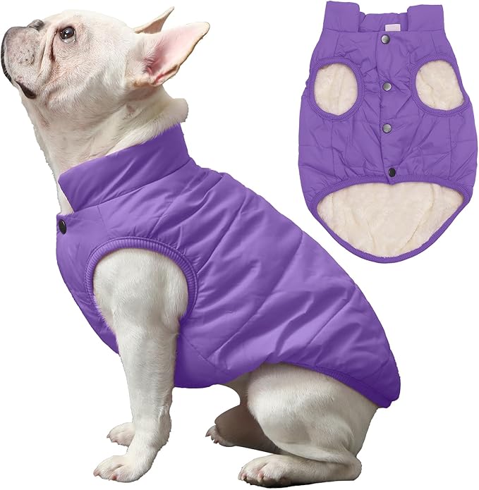 2 Layers Fleece Lined Warm Dog Jacket for Winter Cold Weather,Soft Windproof Medium Dog Coat,Purple XL