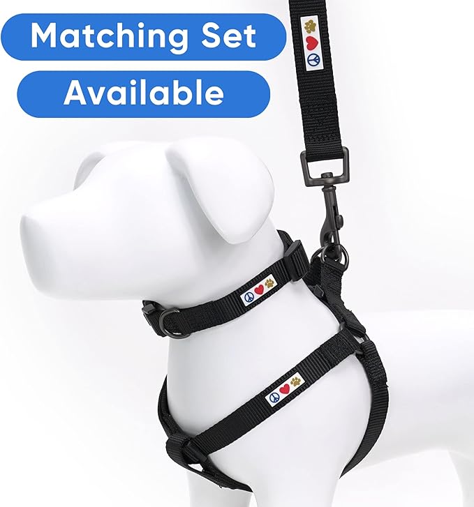 Pawtitas 6 FT Solid Color Leash - Comfortable Handle Dog Training Leash 6 ft Medium/Large Black