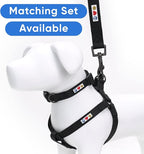 Solid Dog Leash - 6 Ft