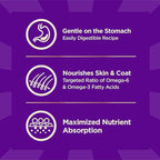 Wellness CORE+ Sensitive Skin & Stomach Dry Dog Food with Freeze Dried Pieces, Wholesome Grains, High Protein, Natural, Salmon & Rice Recipe, (18-Pound Bag)
