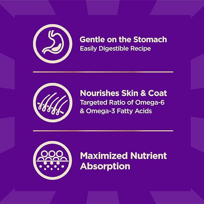 Wellness CORE+ Sensitive Skin & Stomach Dry Dog Food with Freeze Dried Pieces, Wholesome Grains, High Protein, Natural, Salmon & Rice Recipe, (4-Pound Bag)