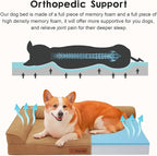 Orthopedic Dog Beds Large Sized Dog, Memory Foam Pet Bed for Medium and Large Dogs, Removable and Washable Microsuede Cover, TPU Waterproof Liner, Nonskid Bottom, 36x27x6 Inches, Khaki
