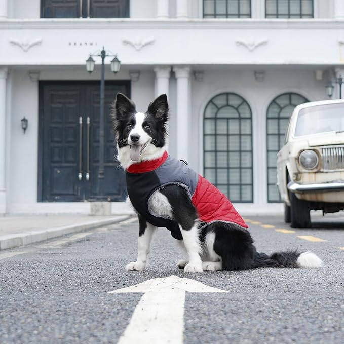 Warm Fleece Dog Coats for Large Dogs,D-Rings Waterproof Puppy Jacket for Cold Winter,Red XXXL