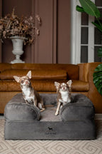 NOAH & PAW Dog Bed, 28x23x11 Inch, Orthopedic Dog Beds for Medium Size Pets, Eggshell Memory Foam Infused with Cooling Gel, Inner Cover, Waterproof, Machine Washable (Velvet Sofa Collection)