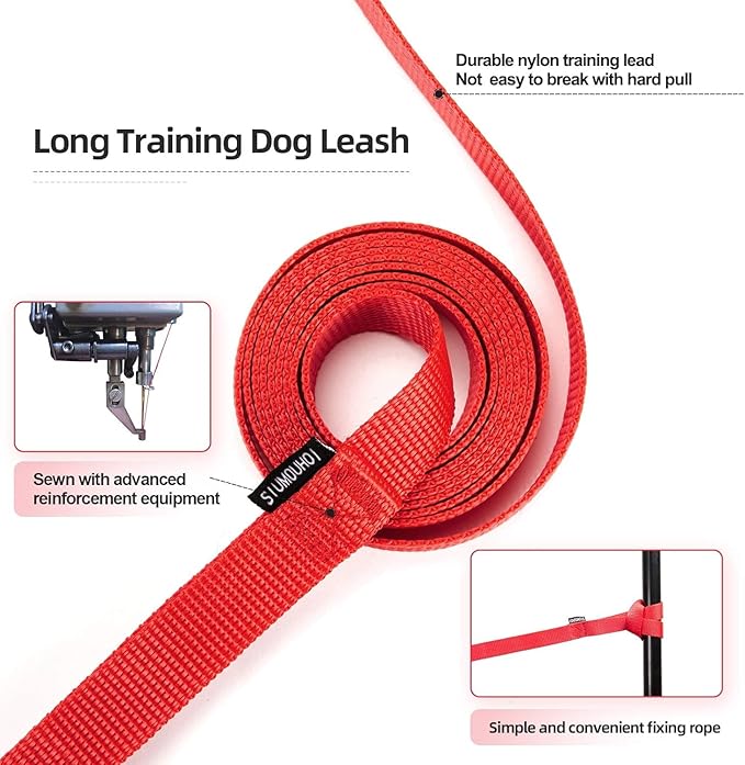 Dog/Puppy Obedience Recall Training Agility Lead - 15ft 20ft 30ft 40ft 50ft Training Leash - Great for Play, Camping, or Backyard (Rainbow, 40 Feet)