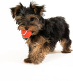 Playology Dog Toys | Squeaky Chew Ball - Bouncy Durable Floating Fetch Ball for Dogs, Value 3-Pack | Small Beef Scented Toy - Easy to Clean and Made from Non Toxic Materials