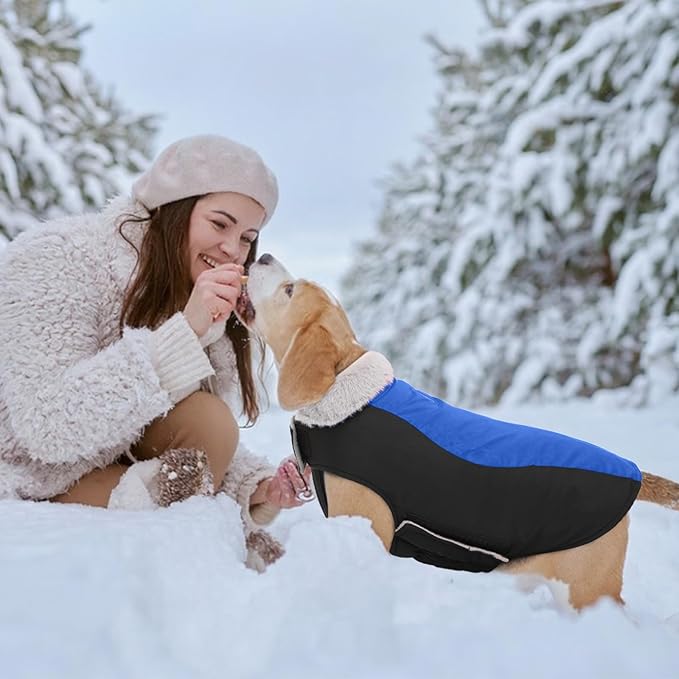 Warm Dog Coat,Waterproof Jacket in Winter Adjustable and Reversible Doggy Fleece Outfit,Thick Clothes with Foldable Collar for Puppy in Cold Days,XL RoyalBlue