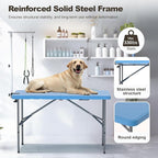 ynhurenth 49'' Pet Grooming Table for Large Dogs, Foldable Professional Grooming Table for Dogs at Home with Double Loops/Adjustable Arm, Capacity up to 330lbs, Blue