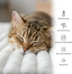 NWK Pack of 4 Fluffy Self Warming Cat Mat, Cat Blanket, Thermal Dog Mat, Washable, Non-Slip Bottom for Sofa & Crate & Kennel & Car Seat (Creamy White, Small (19'' X 15'' X 0.7''))