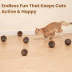 6-Pack Cardboard Cat Ball Toy with Bell – Interactive Cat Toy for Chasing, Batting, and Exercise – Durable & Irresistible Fun for Cats
