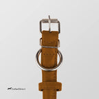 CollarDirect Rolled Leather Dog Collar, Soft Padded Round Puppy Collar, Handmade Genuine Leather Collar Dog Small Large Cat Collars 13 Colors (8-11 Inch, Cinnamon Textured)