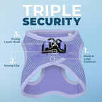 Best Pet Supplies Voyager Step-in Air Harness - All Weather Mesh, Reflective, No Pull Harness for Dogs, Cats - Secure with Hook & Loop Fastener, Buckle, Double D-Rings - Lavender, L