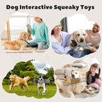 Crinkle Dog Toys Squeaky Plush No Stuffing Cute Puppy Stuffless Tough Rop Pull Toy, Fun Dog Stuffed Animals Durable Chew Set for Small Medium Large Pup (Large, Dark Brown+Brown Squirrel)