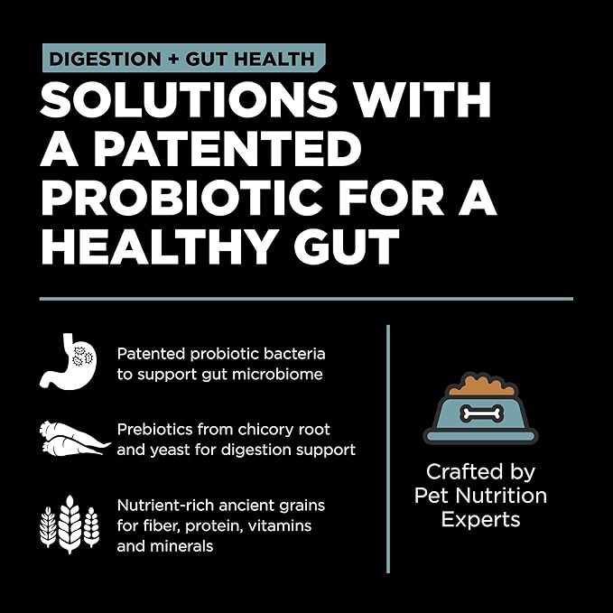 Go! Solutions Digestion + Gut Health, Dry Dog Food, Chicken Recipe with Ancient Grains, 22 lb Bag
