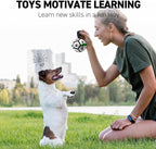 QDAN Small Dog Toys, Puppy Balls, Dog Balls with Straps for Small Breed, Soccer Ball for Dogs, Puppy Toys, Dog Birthday Gift (Black Green, 3.5 inch)