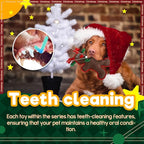 ALL FOR PAWS Christmas Dog Squeaky Toys Dog Gifts Chew Toy Enrichment Fetch Toys Holiday Birthday Gift for Medium to Large Dogs