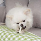 MON2SUN Dog Rawhide Knot Bones Small Rawhide Mini Chew Bones Natural 2.5 Inch 100 Count for Puppy and Small Dogs