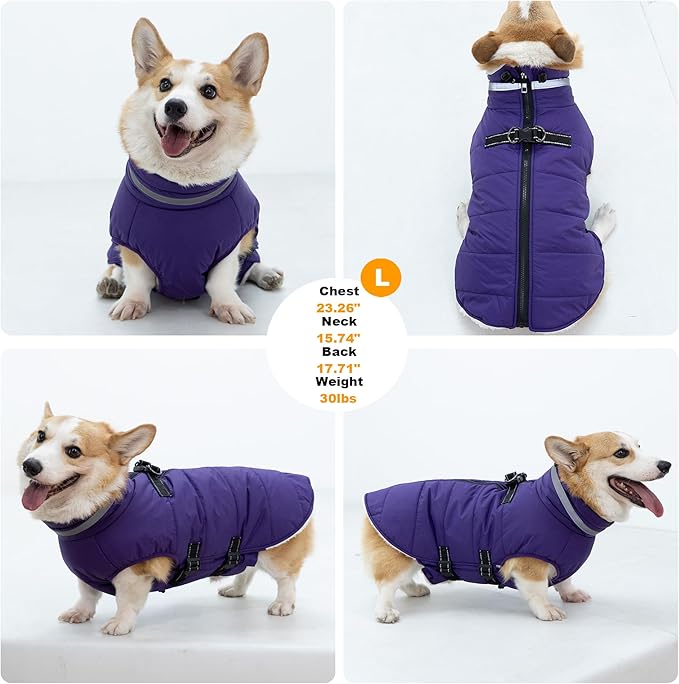 Large Dog Coat with Harness Built-in, Waterproof Reflective Fleece Lined - Warm Windproof Winter Jacket with Back Zipper, Cold Weather Snow Dog Coats - Purple - 2XL