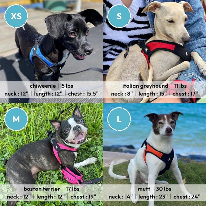 Gooby - Escape Free Easy Fit Harness, Small Dog Step-in Harness for Dogs That Like to Escape Their Harness, Turquoise, Small