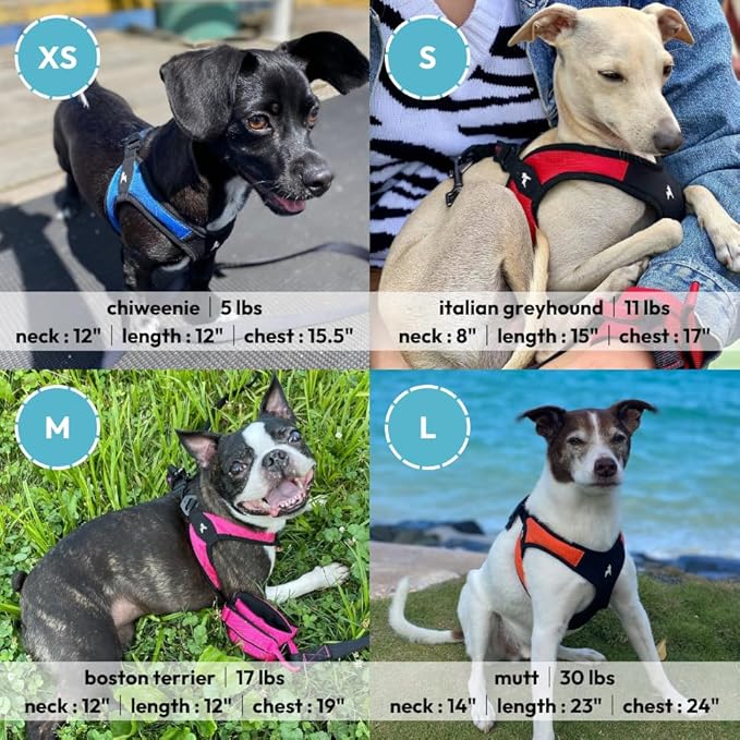 Gooby Escape Free Easy Fit Harness - Hot Pink, Medium - No Pull Step-in Patented Small Dog Harness with Quick Release Buckle - Perfect On The Go No Pull Harness for Small Dogs or Medium Dog Harness