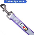 Pawtitas 6 FT Padded Dog Leash with Comfortable Neoprene Padding Handle - Purple Lead | Small Reflective Dog Leash with Highly Reflective Band Perfect for Extra Small and Small Dogs and Puppies.