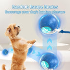 Tiny Fetch Dog Toy - Interactive Dog Toys, 360°Smart Automatic Rolling Electric Dogs Ball Toy with Birdsong, Automatic Obstacle Avoidance, Rechargeable, Boredom Relief for Dogs & Cats (Blue*1 PC)