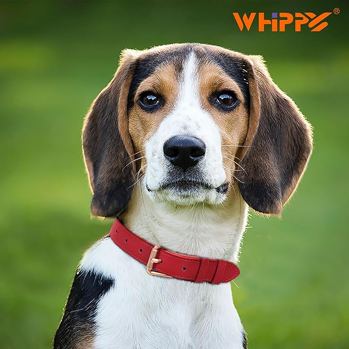 WHIPPY Leather Dog Collar for Small Medium Large Dog Adjustable Soft Breathable Leather Padded Puppy Collar with Alloy Buckle Heavy Duty Waterproof Classic Dog Pet Collar,red,L