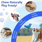 Caterpillar Dog Chew Toys for Aggressive Chewers, Tough Indestructible Squeaky Dog Toy with Beef Flavor Nylon Rubber for Large Medium Dogs to Keep Them Busy and Reduce Boredom (Blue)