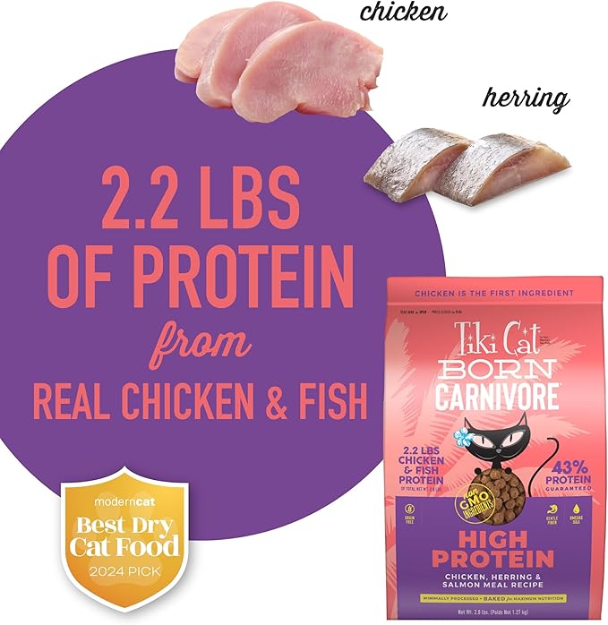 Tiki Cat Born Carnivore High Protein Dry Cat Food, Chicken Herring & Salmon Meal, 2.8 lbs. Bag