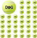 40 Pack Tennis Balls Dog Toys Bulk 2.5 Inch with Carry Bags, Easy Catching Interactive Fetch for Pet Puppy Small Medium Large Dogs Training Exercise and Practice