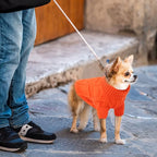Queenmore Small Dog Pullover Sweater, Cold Weather Cable Knitwear, Classic Turtleneck Thick Warm Clothes for Chihuahua, Bulldog, Dachshund, Pug (Orange, Medium)