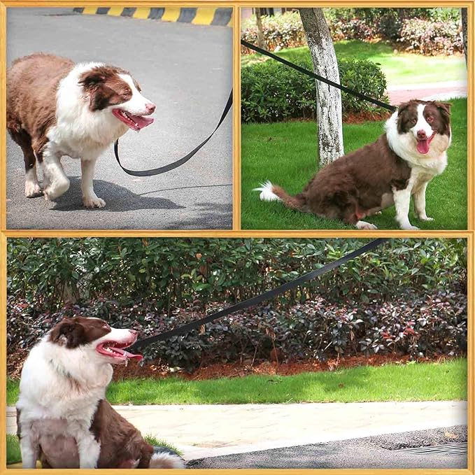AMAGOOD 6 FT Puppy/Dog Leash, Strong and Durable Traditional Style Leash with Easy to Use Collar Hook, Great for Small, Medium and Large Dogs (1" x 6 ft, Black and Green (2-Pack))