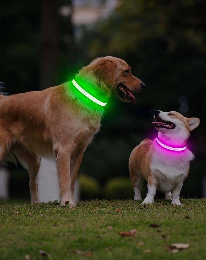 Weesiber Light Up Dog Collar - LED Dog Collar Rechargeable Glow in The Dark Reflective Pet Collar, Safety Doggy Lights for Night Walking(Green, M)