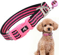 Small Dog Collar with Bell Reflective - Adjustable Tiny XS XXS Breed Collar for Girl Female,Night Walk Safety Accessory（Pink S）