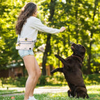 Dog Treat Pouch, Pet Training Pouch, Hand Free Dog, Pet Feed Snack Reward, for Travel or Outdoor,3 Ways to Use