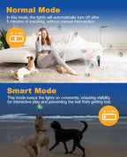Light Up Dog Balls, LED Dog Toy Ball Rechargeable, Bounce-Activated Durable Fetch Ball Grow in The Dark, Night Glowing Dogs Toys, Natural Rubber, Color Changing LED, 2.5 inches-Blue