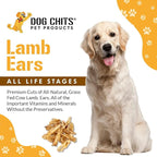 Dog Chits Lamb Ears for Dogs – 100% Natural Baked Lamb Ear Dog Treats – Grain-Free, High Protein, Lower Fat Training Chews – Dental Health & Joint Support – for Large, Medium Dogs – 15 Pack