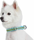Blueberry Pet Safety Dog Collar with Dual D-Rings | 3M Reflective Multi-Colored Adjustable Collar in Blue and Yellow | Soft Nylon Dog Collar for Active Small Dogs