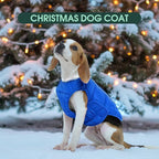 Kuoser Dog Puffer Jacket Warm Dog Coat for Extra Small Dogs, Windproof Reflective Pet Padded Vest Cold Weather Clothes Puppy Snowsuit with Hook & Loop Coats, Easy On/Off, Blue XS
