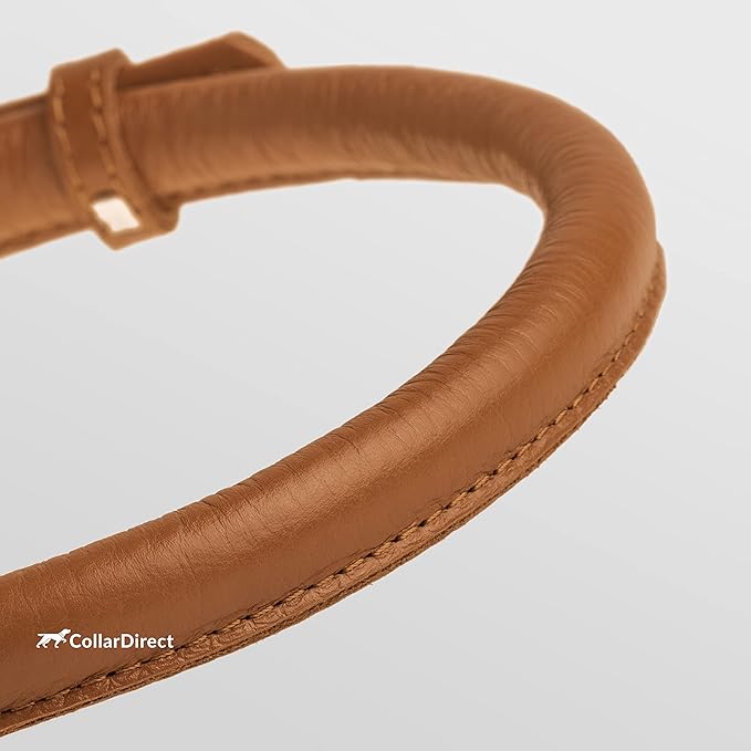 CollarDirect Rolled Leather Dog Collar, Soft Padded Round Puppy Collar, Handmade Genuine Leather Collar Dog Small Large Cat Collars 13 Colors (8-11 Inch, Cinnamon Textured)