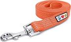 Pawtitas 6 FT Dog Leash - Reflective Orange Puppy Leash with Comfortable Handle and Heavy Duty Training