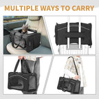 Petsfit Airline Approved Pet Carrier for Small Cats, 15x8x10 TSA Approved Carrier, with Removable Dual-Sided Padding (2-Way Placement) - Fits Under Most Airplane Seats, Escape Proof (Black)