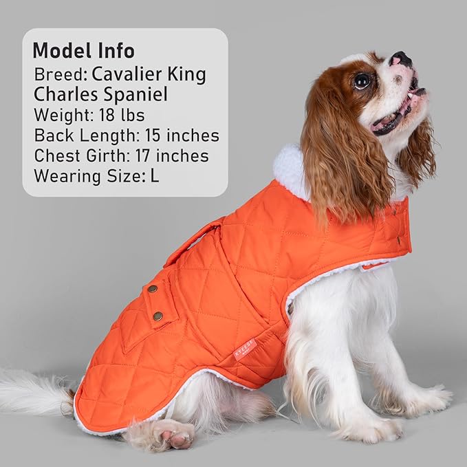 KYEESE Dog Coat Soft Pet Sweater with Leash Hole Windproof Dogs Jacket with Fleece Lined Waterproof Dog Coats for Large Dogs Warm Cat Clothes for Cold Weather Thick Pet Winter Puffer Coat with Pocket