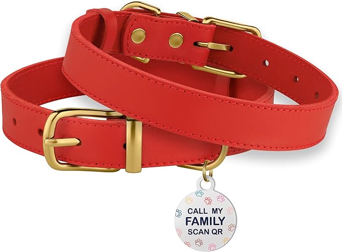 BRONZEDOG Leather Dog Collar with Metal Buckle Durable Basic Pet Collars for Small Medium Large Dogs (19-21 Inch (Pack of 1), Red & Gold Buckle)