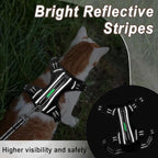 Cat Harness and Leash Set for Walking Escape Proof for Small Large cat Kitten Harness with ID tag Pocket (Black,XXS)