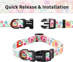 Ihoming Dog Collar and Leash Set for Daily Outdoor Walking Running Training, White Colorful Flowers Design for Small Boys Girls Dogs Cats Pets, S-Up to 20LBS
